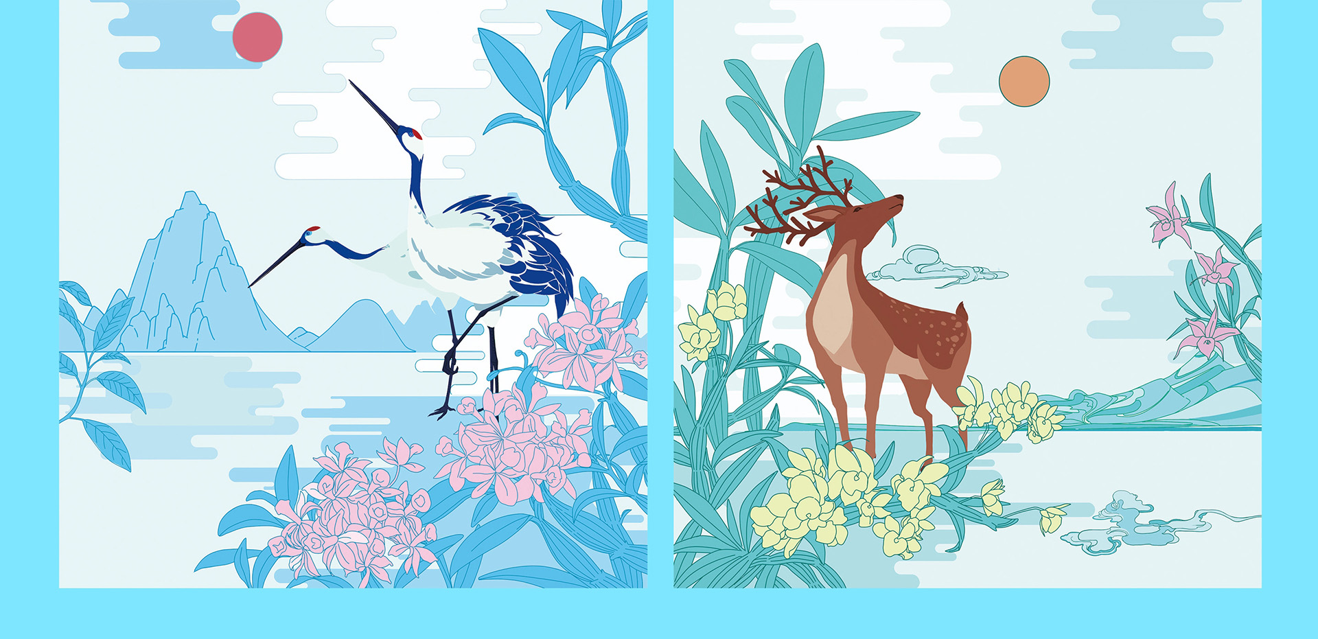 鐵皮石斛包裝設(shè)計(jì)