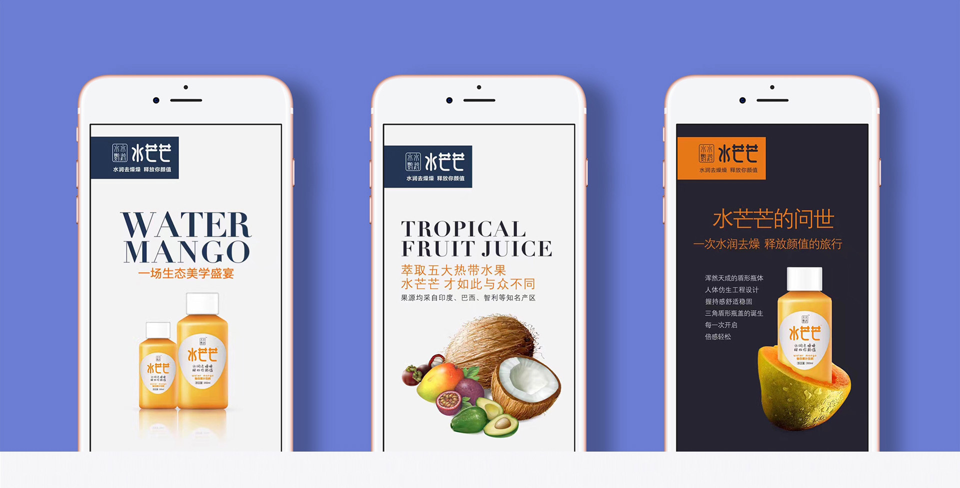 復(fù)合果汁飲料包裝策劃設(shè)計(jì)